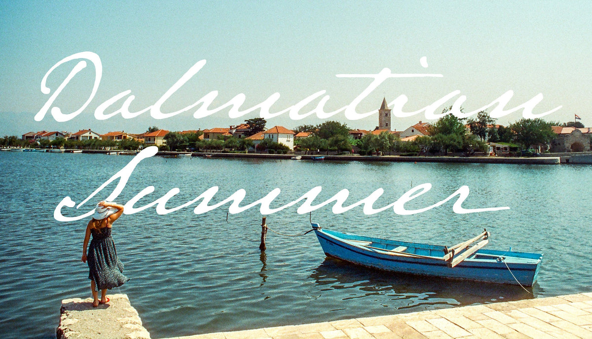 Dalmatian Summer