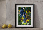 Fruit Of The Vine